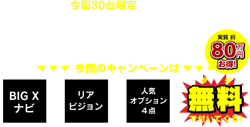 今回のキャンペーンはBIGXナビ＋リアビジョン＋人気オプション４点がタダで付いてくる！（実質約８０万円お得！）