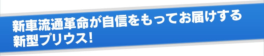 新車流通革命が自信をもってお届けする人気のプリウス！
